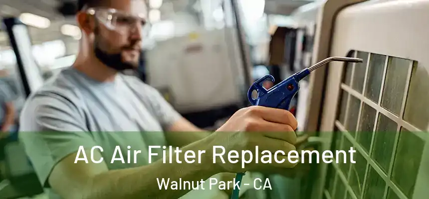 AC Air Filter Replacement Walnut Park - CA
