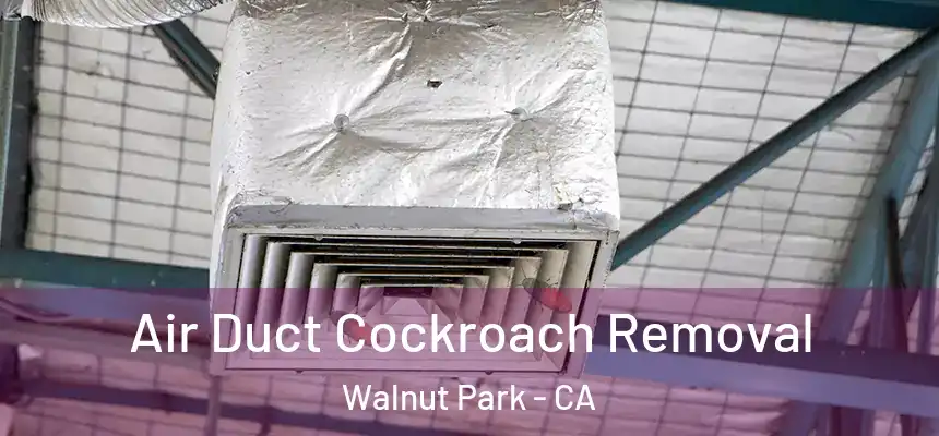  Air Duct Cockroach Removal Walnut Park - CA