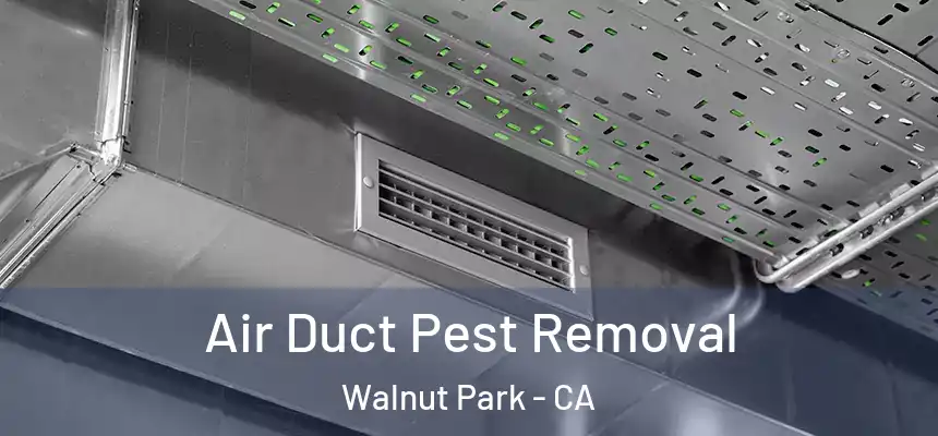 Air Duct Pest Removal Walnut Park - CA