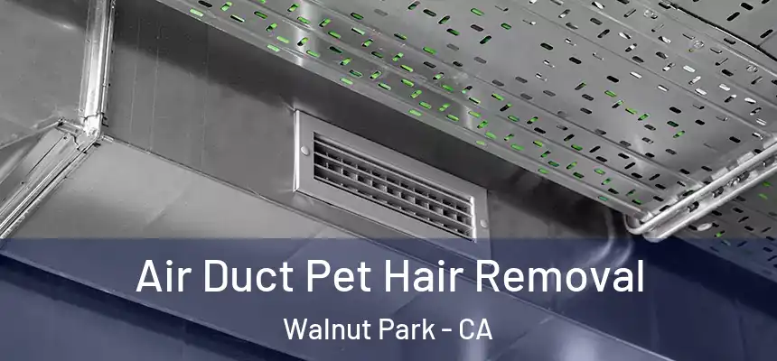  Air Duct Pet Hair Removal Walnut Park - CA