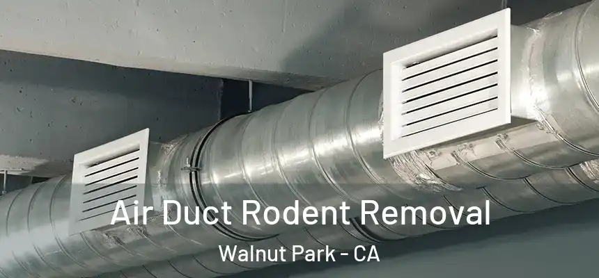  Air Duct Rodent Removal Walnut Park - CA