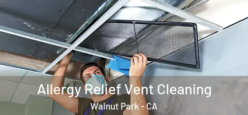 Allergy Relief Vent Cleaning Walnut Park - CA