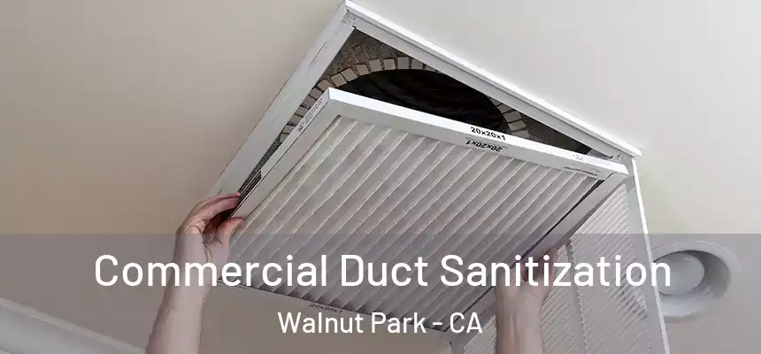 Commercial Duct Sanitization Walnut Park - CA