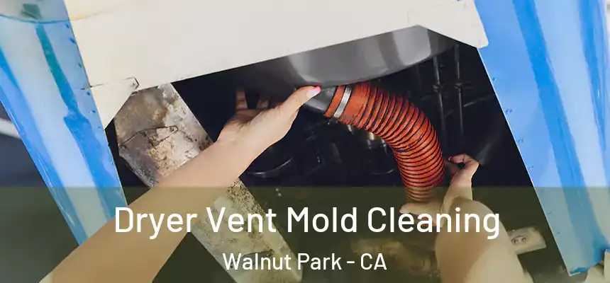 Dryer Vent Mold Cleaning Walnut Park - CA