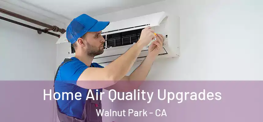  Home Air Quality Upgrades Walnut Park - CA