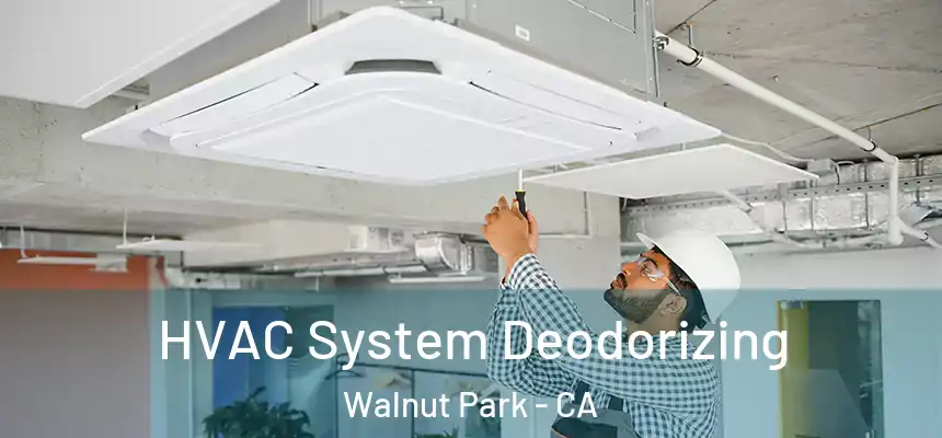 HVAC System Deodorizing Walnut Park - CA