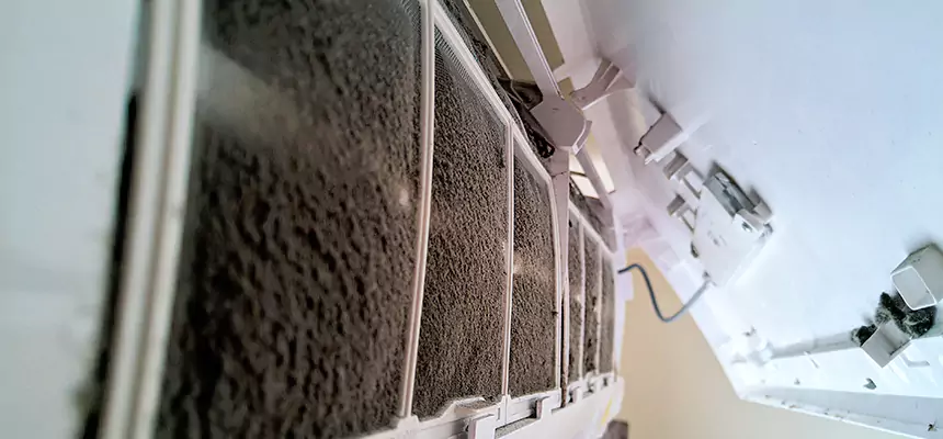 Preventive Air Duct Bacteria Removal in Walnut Park