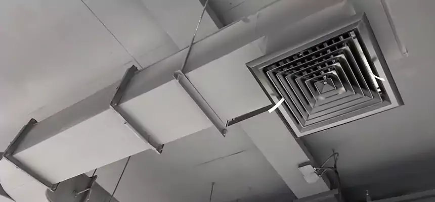 Restorative Allergy Relief Vent Cleaning – Coil, Blower & Housing Detail in Walnut Park