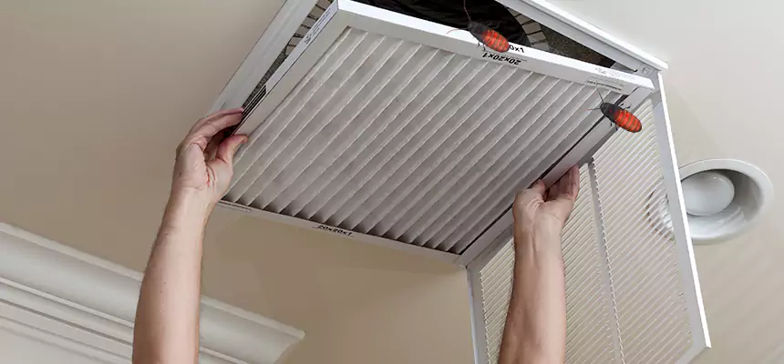 Our Insect Removal from Air Ducts Services in Walnut Park, CA