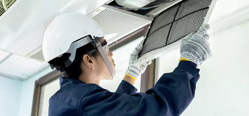 Our Mold & Mildew Removal from Air Ducts Services in Walnut Park, CA