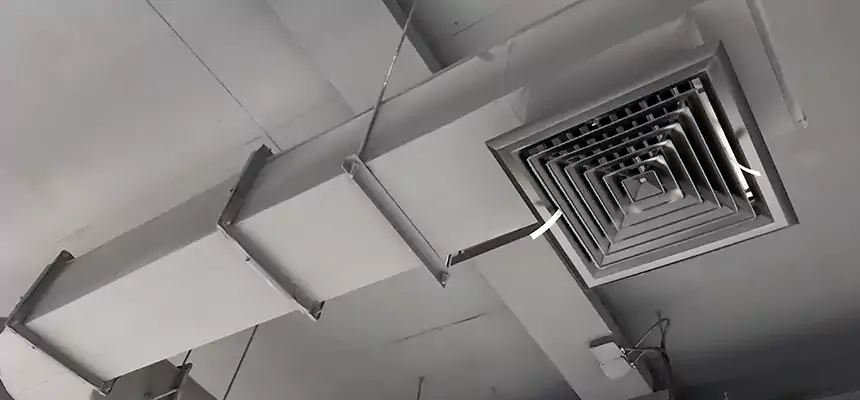 Our Pest Removal From Ducts Services in Walnut Park, CA