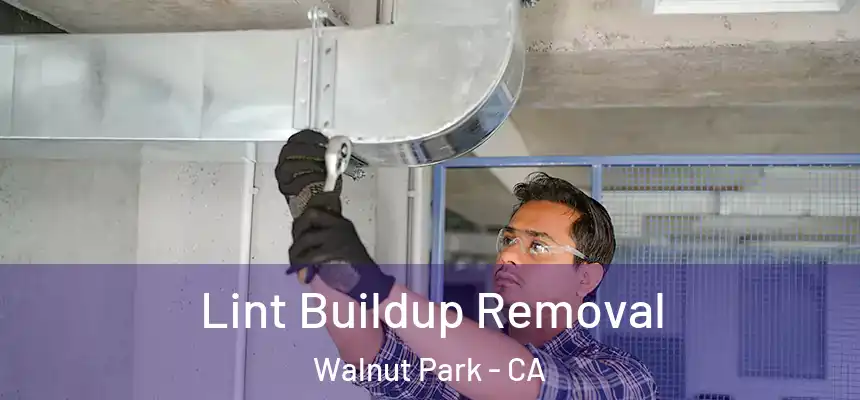 Lint Buildup Removal Walnut Park - CA