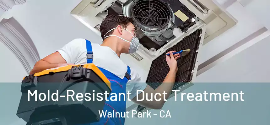 Mold-Resistant Duct Treatment Walnut Park - CA