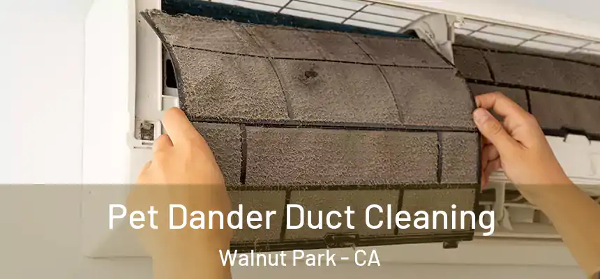 Pet Dander Duct Cleaning Walnut Park - CA