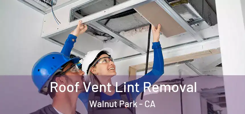  Roof Vent Lint Removal Walnut Park - CA