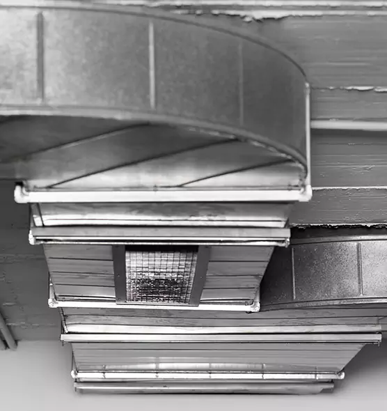 Professional Air Duct Pest Removal in Walnut Park, CA