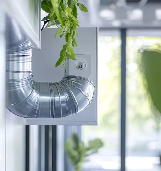 Professional Eco-Friendly Duct Cleaning Services in Walnut Park, CA