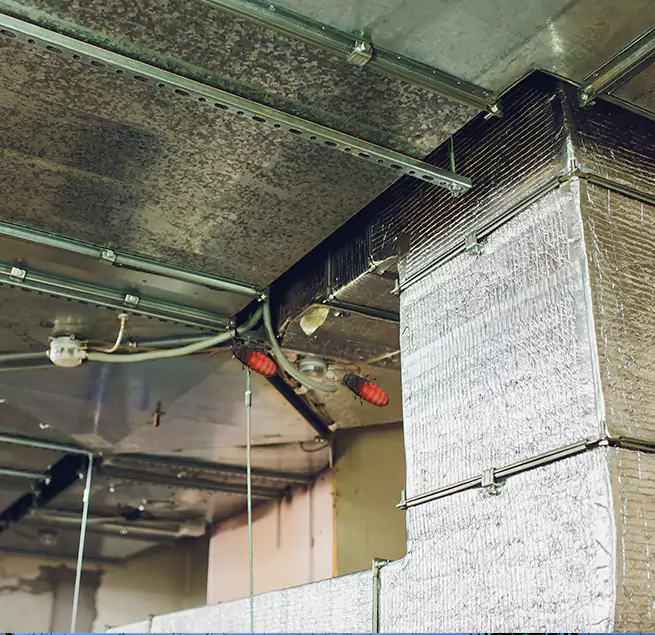 Why Homeowners & Businesses Trust Us in Walnut Park, CA?