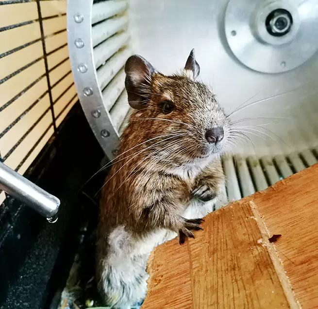 Why Homeowners & Businesses Trust Us Walnut Park, CA