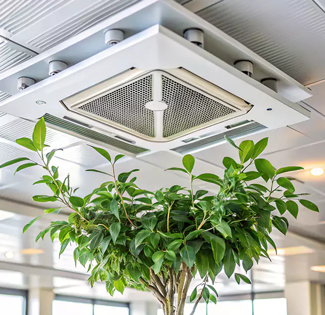 Why Homeowners & Businesses Trust Us in Walnut Park, CA?